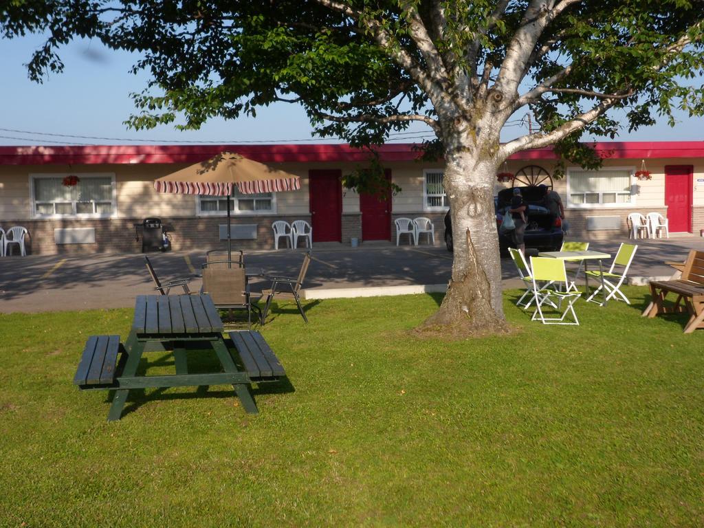 The Silver Birch Motel Годерич Экстерьер фото